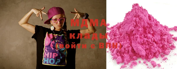 индика Ельня
