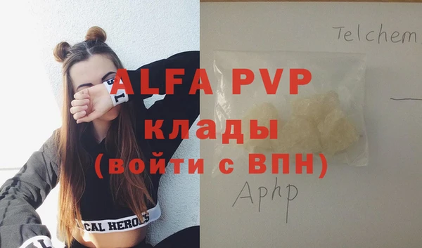 индика Ельня