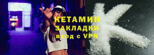 индика Ельня