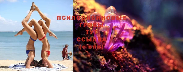 дурь Елабуга