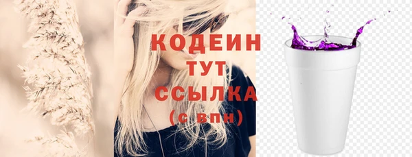 СК Елизово