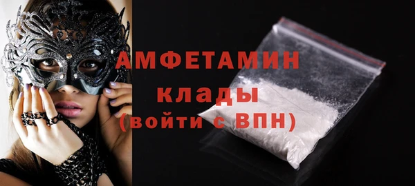 индика Ельня