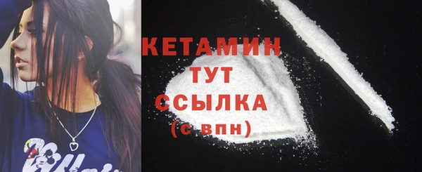 индика Ельня