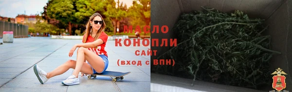 индика Ельня