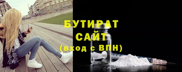 индика Ельня