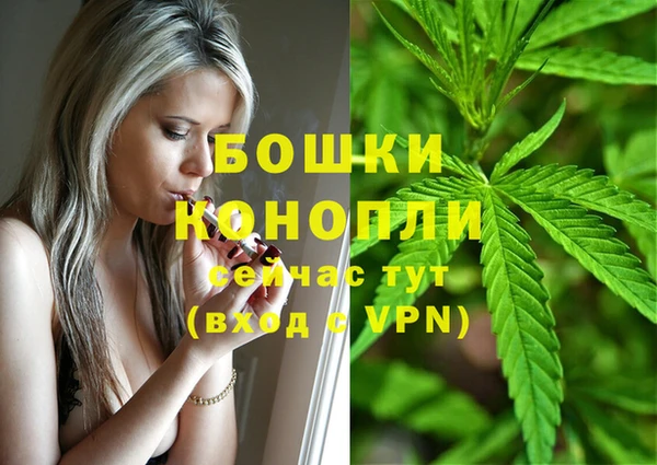 дурь Елабуга