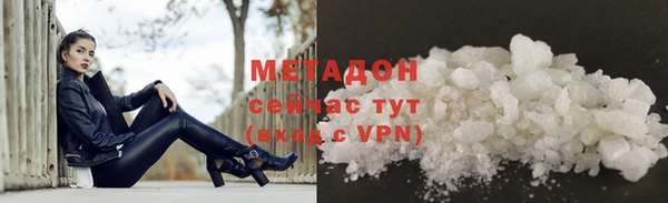 индика Ельня