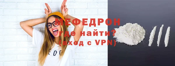 индика Ельня