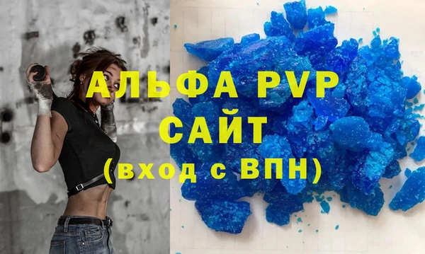 СК Елизово
