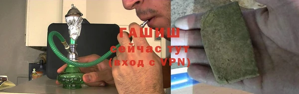 СК Елизово