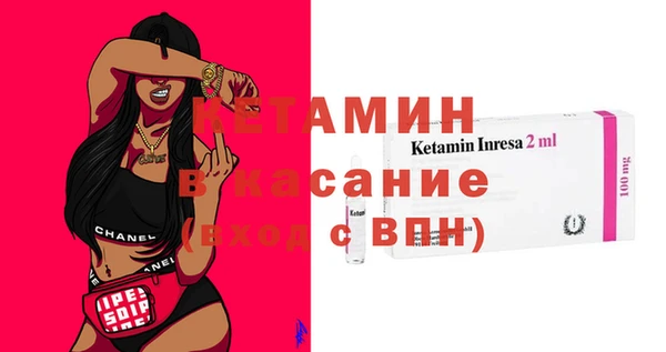 индика Ельня