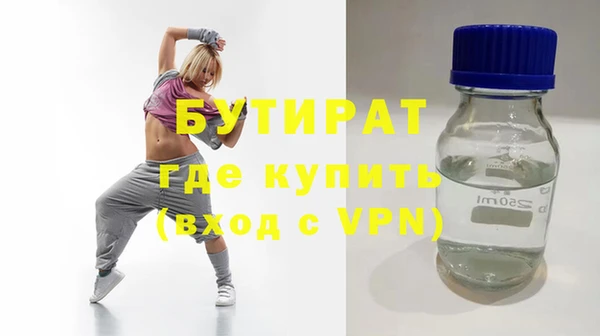 индика Ельня