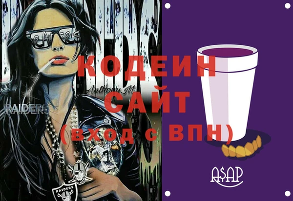 СК Елизово