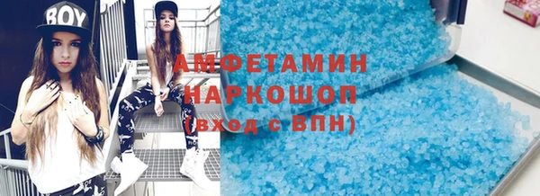 индика Ельня