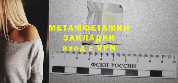 индика Ельня