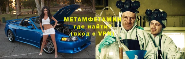 индика Ельня