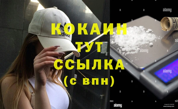 СК Елизово