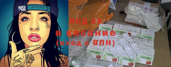 СК Елизово