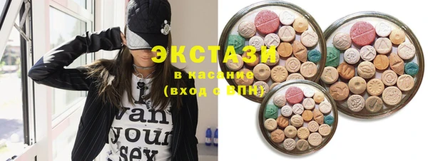 индика Ельня