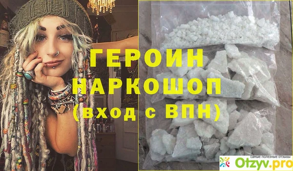 индика Ельня